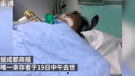 新闻爆料中毒事件视频,视频揭露惊人真相,警方紧急介入调查 第1张 新闻爆料中毒事件视频,视频揭露惊人真相,警方紧急介入调查 第1张